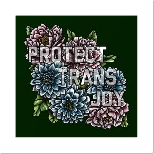 Protect Trans Joy Posters and Art